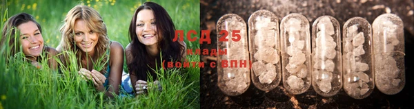 ешки Балахна