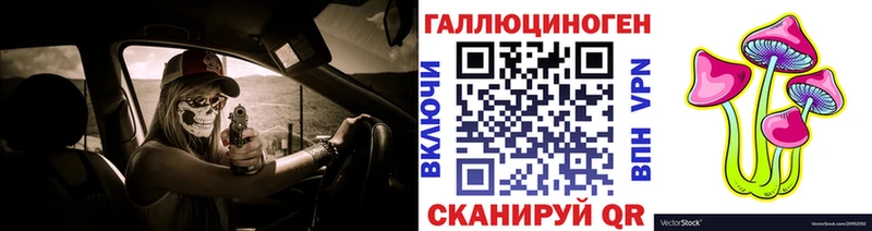 Псилоцибиновые грибы Magic Shrooms  магазин  наркотиков  MEGA как зайти  Чернушка 